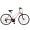 Orient Avenue Lady Cross 21spd